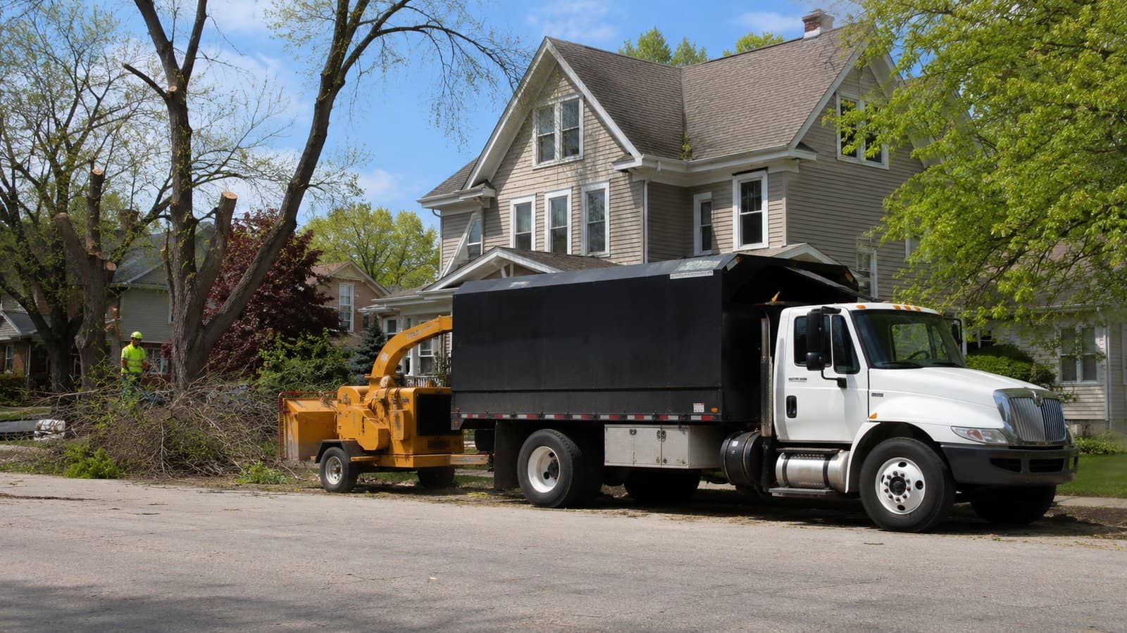 How Much Does Tree Removal Cost in the Chippewa Valley?