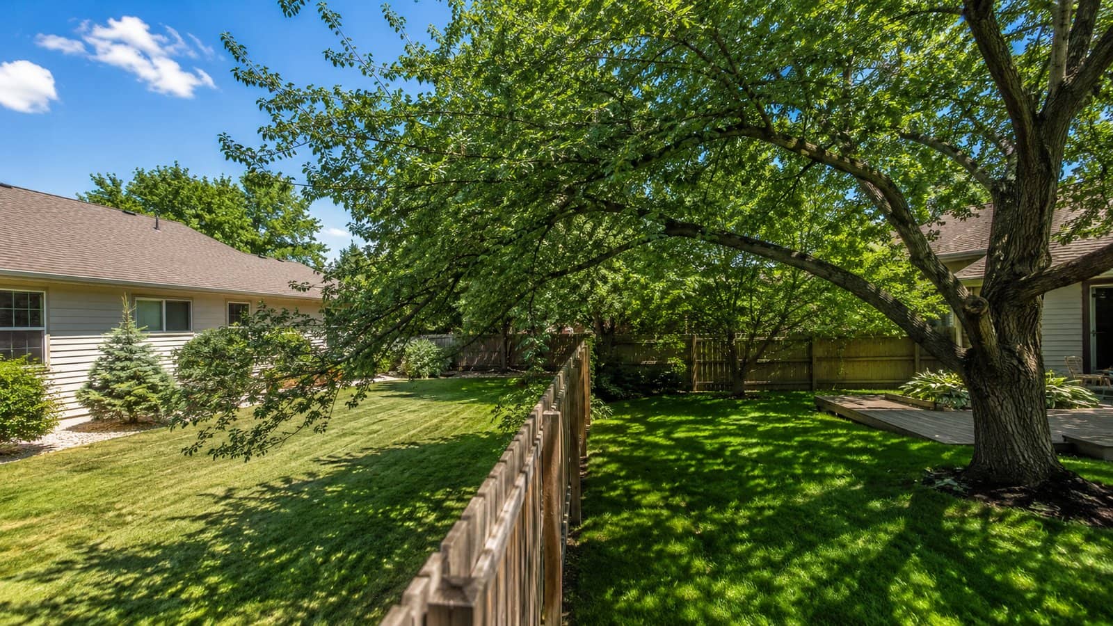 Your Neighbor's Tree Is Hanging Over Your Yard: Who's Responsible in Wisconsin?
