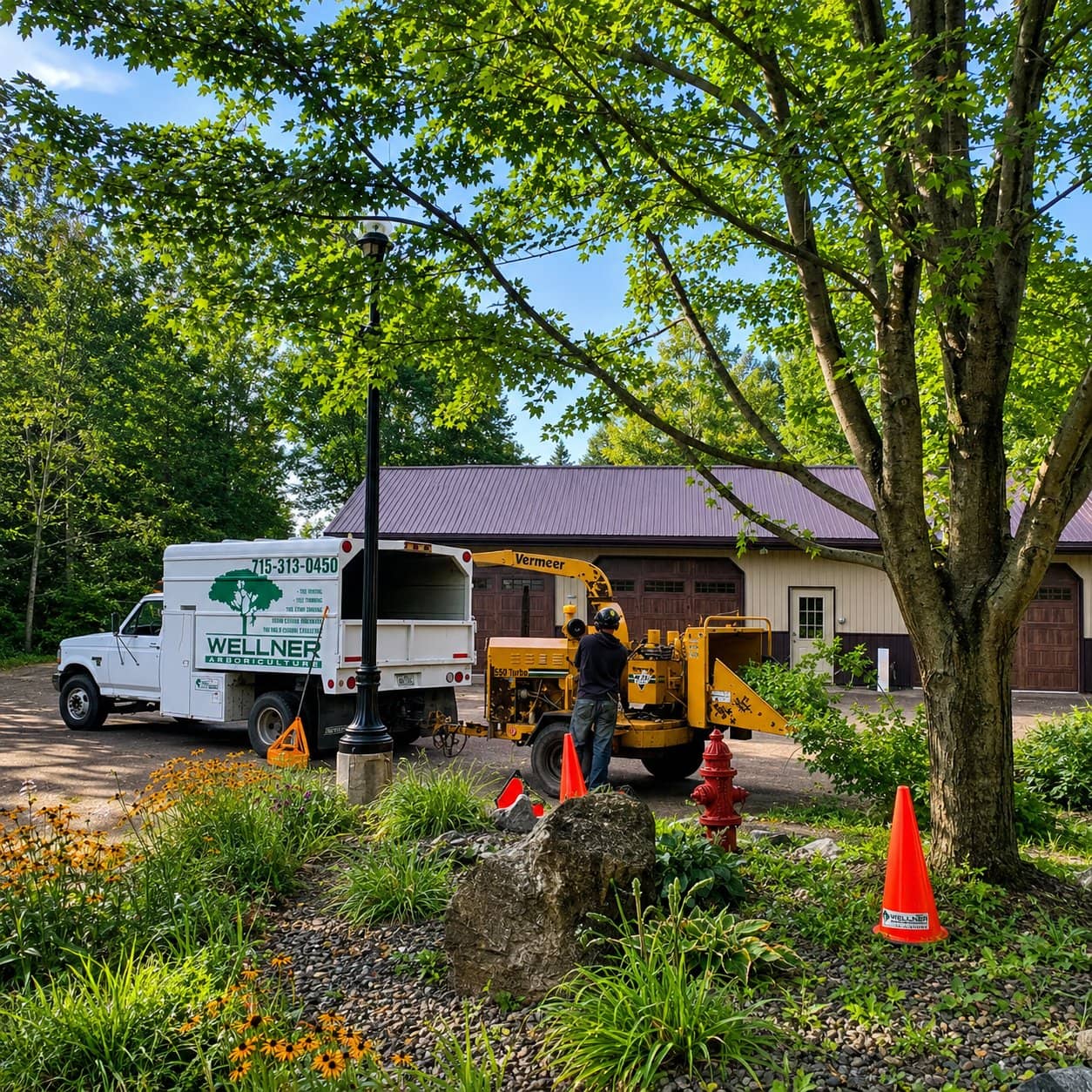 Wellner Arboriculture tree care serving Cornell, WI
