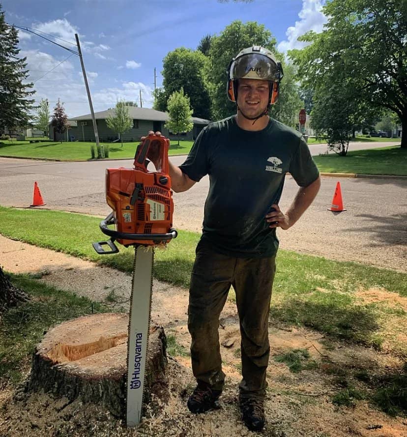 Arborist with a long-bar chainsaw beside a freshly cut stump.