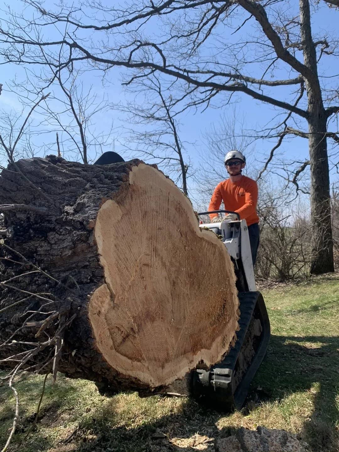 Compact loader carrying a large log section.