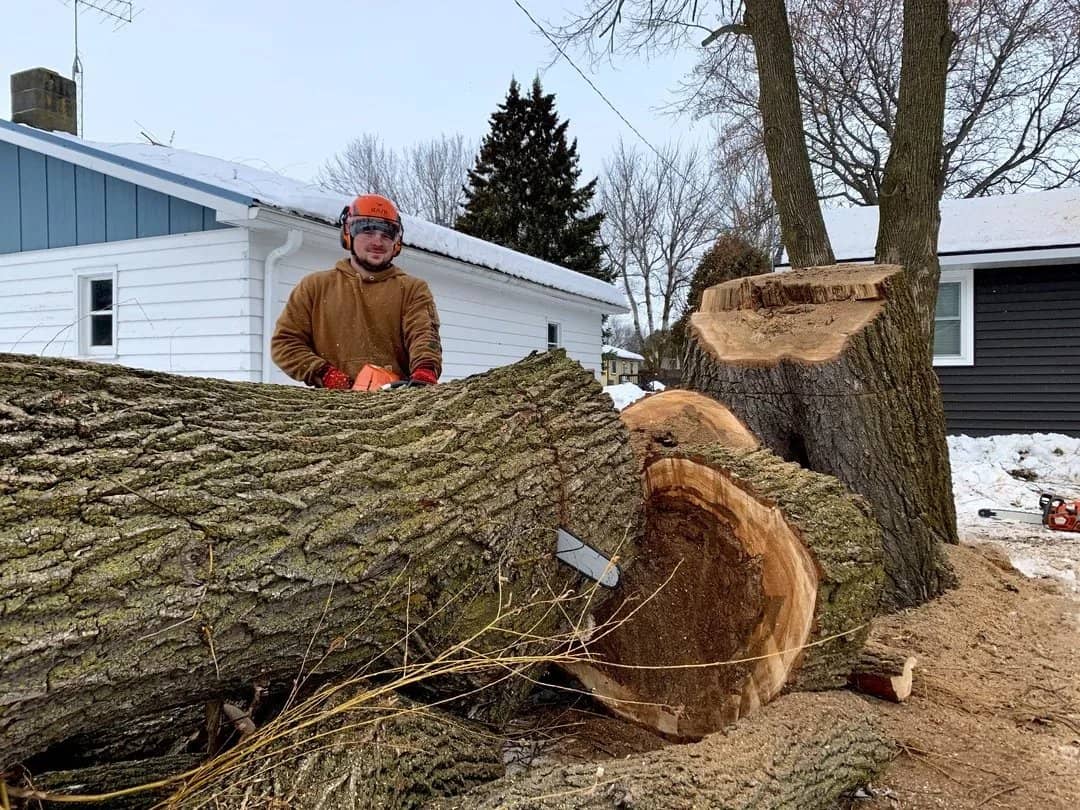 Arborist behind a felled trunk beside a house in winter.