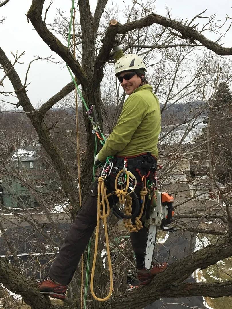Tree climber wearing a harness among bare branches.