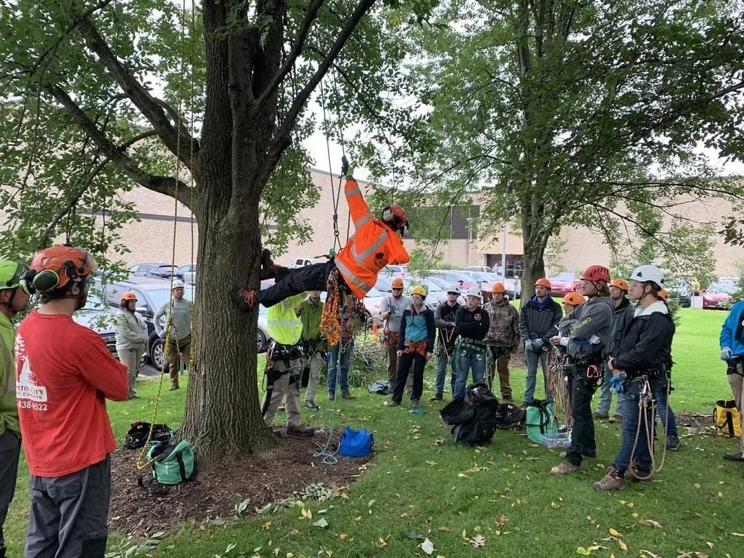 Tree-climbing demonstration with a helmeted group watching.