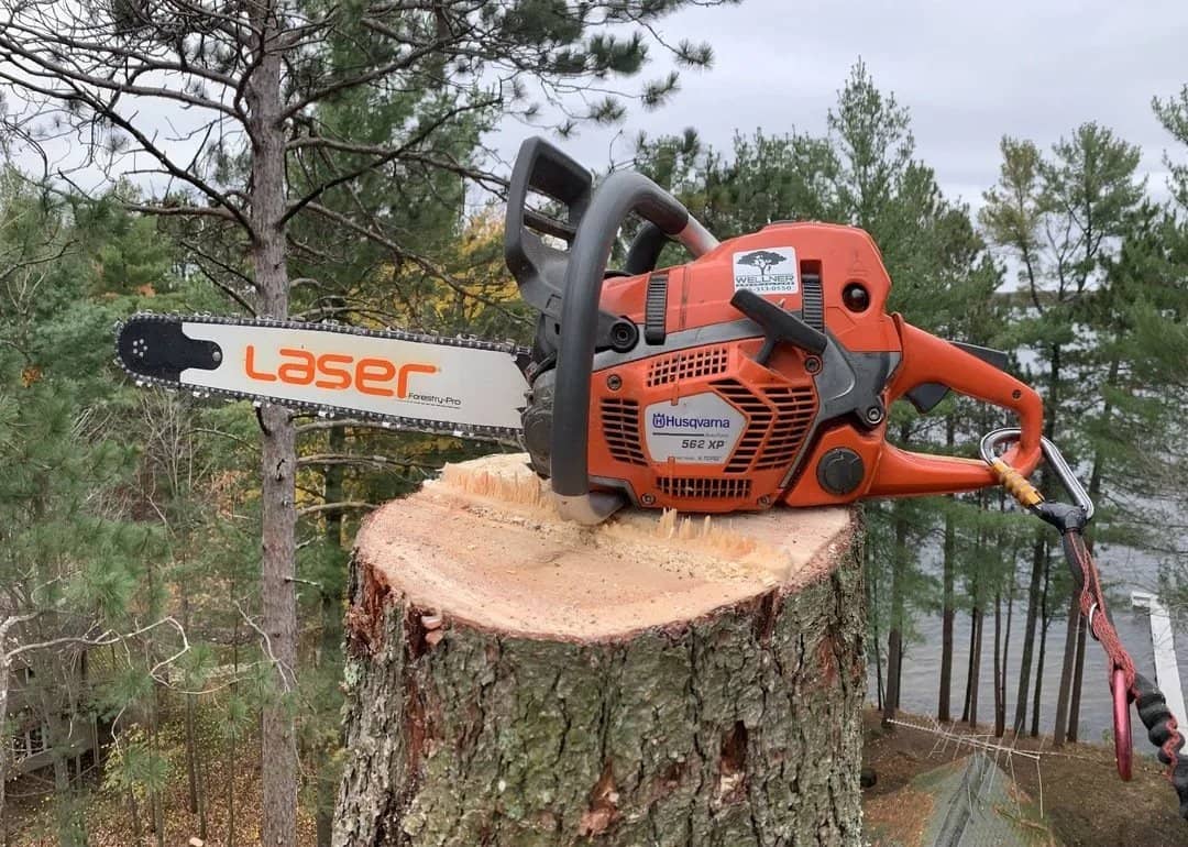 Chainsaw resting on a freshly cut tree trunk.