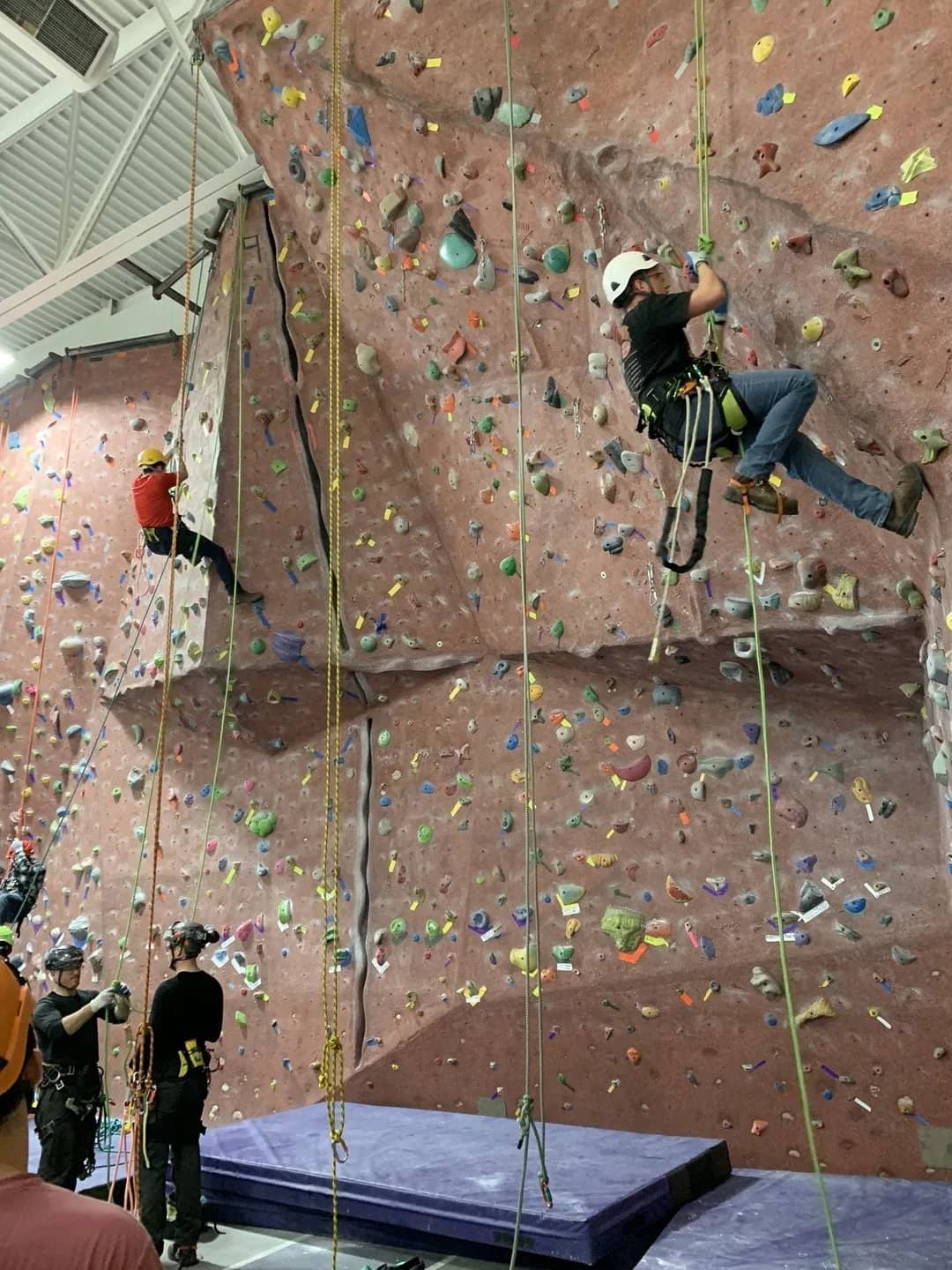 Rope climbing practice on an indoor climbing wall.