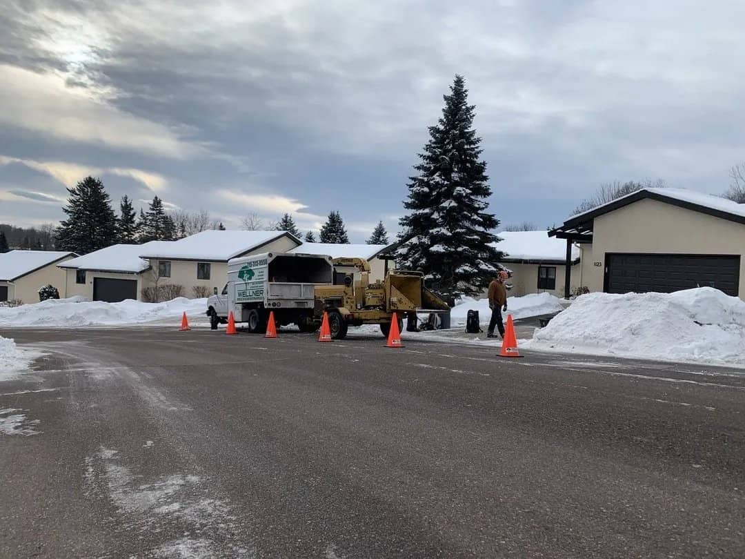Tree service trucks, chipper, and cones along a snowy residential street.