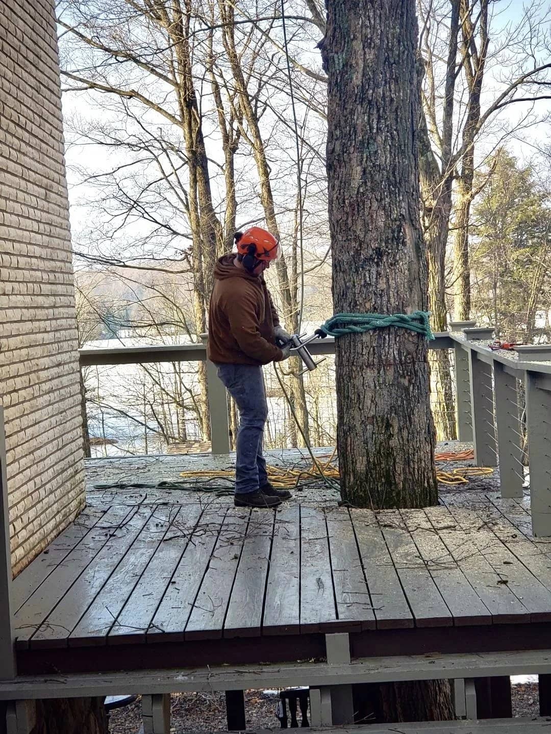 Arborist working on a tree trunk that passes through a wooden deck.