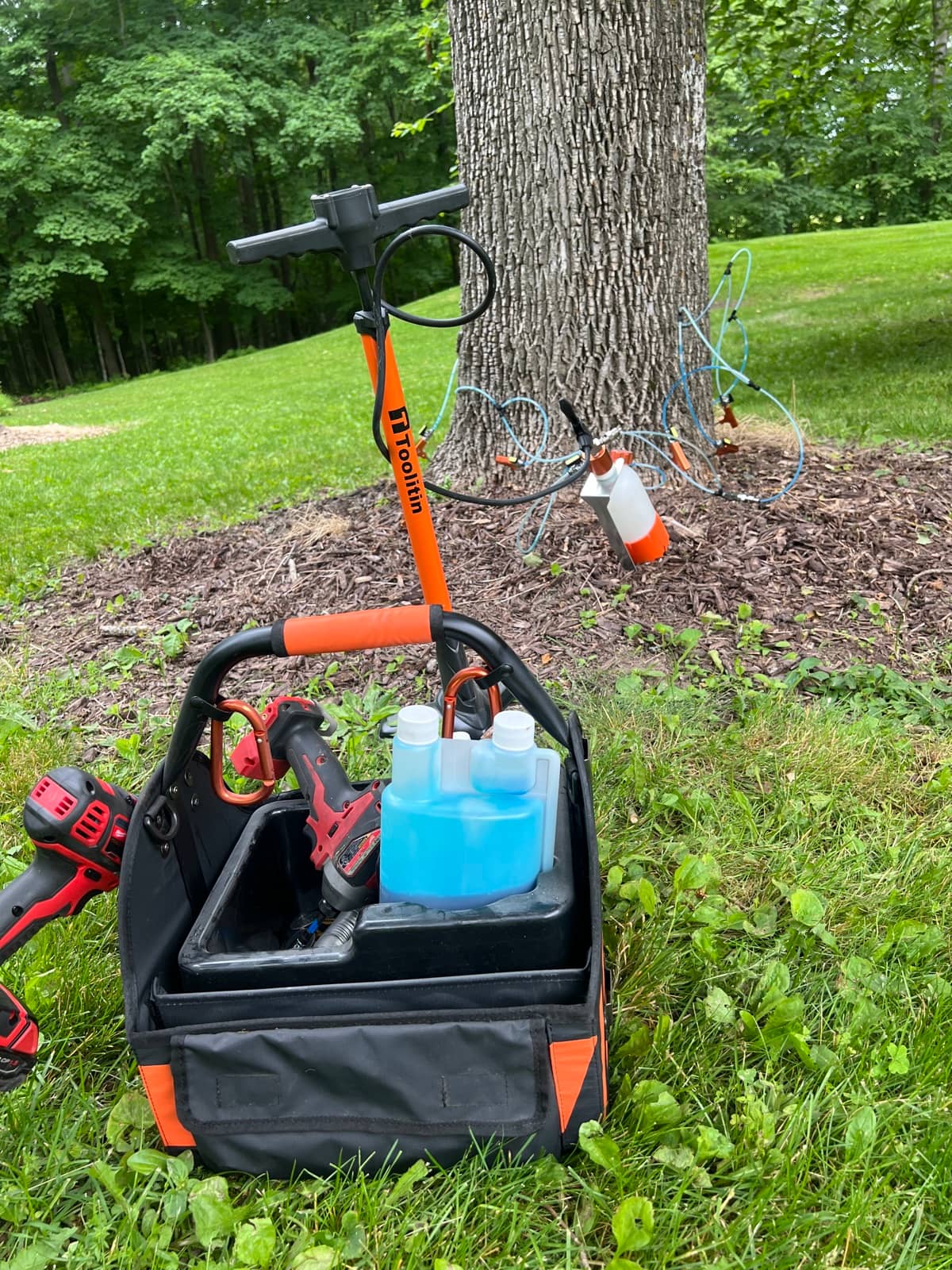 Tree-treatment equipment and a supply bag at the base of a tree.