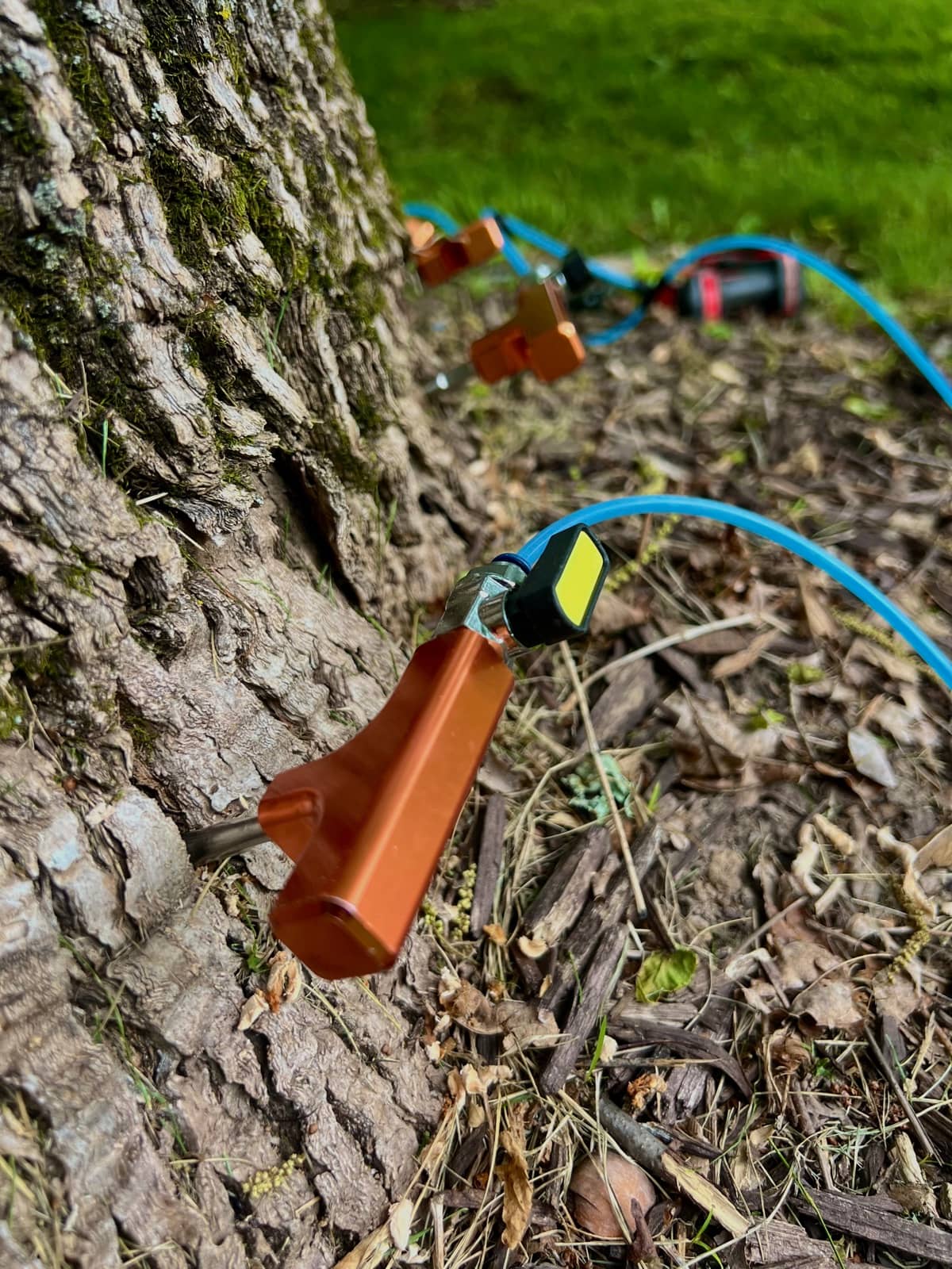 Tree-treatment tubes attached around the base of a trunk.
