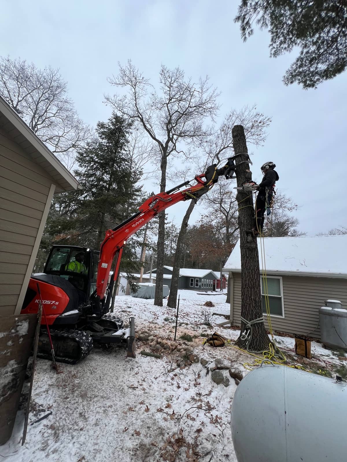 Excavator grapple holding a trunk section beside a tree climber in winter.