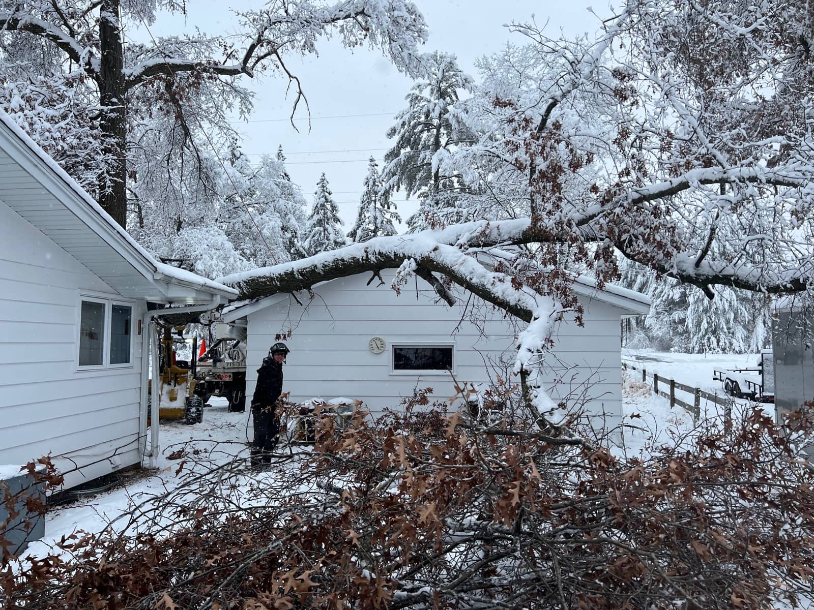 Snow-covered fallen tree across a house roof.