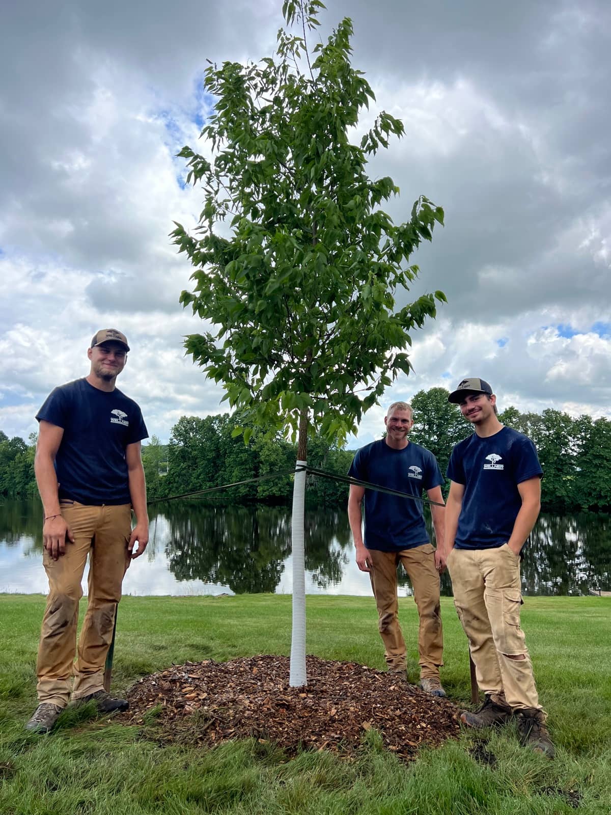 Three arborists beside a newly planted tree near the water.