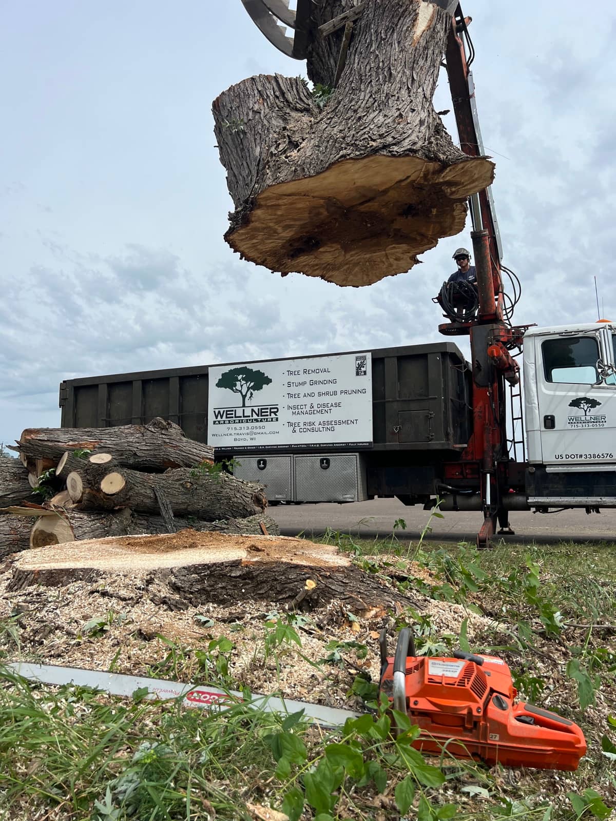 Grapple crane lifting a large trunk section over a work truck.