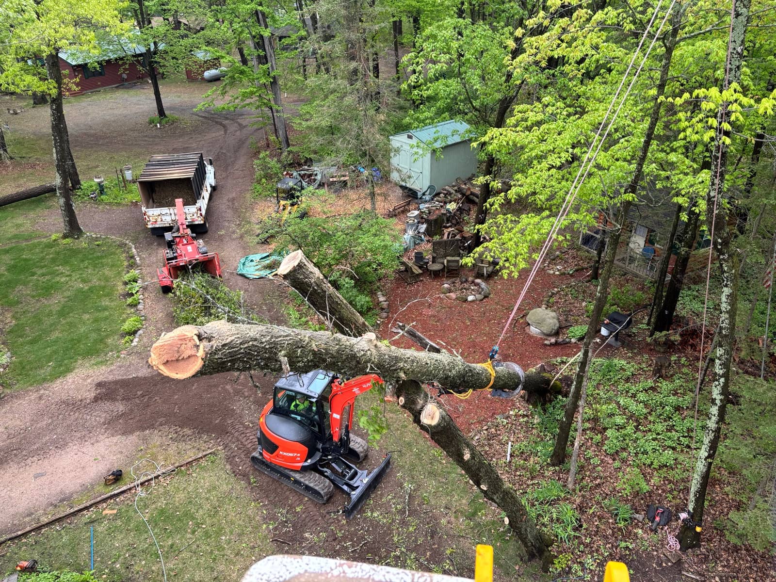 Ropes supporting a cut limb above an excavator in a wooded yard.