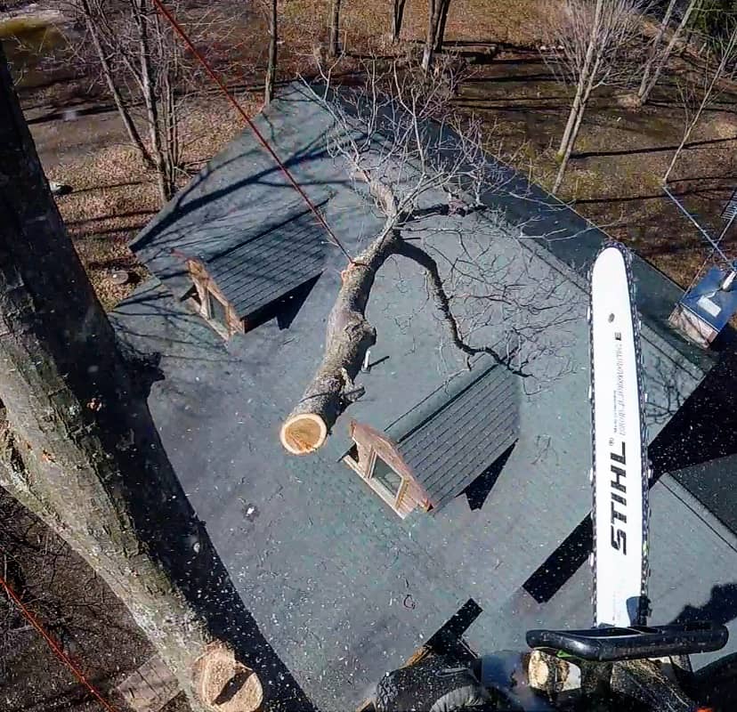 Elevated view of a cut limb over a house roof with a chainsaw in the foreground.