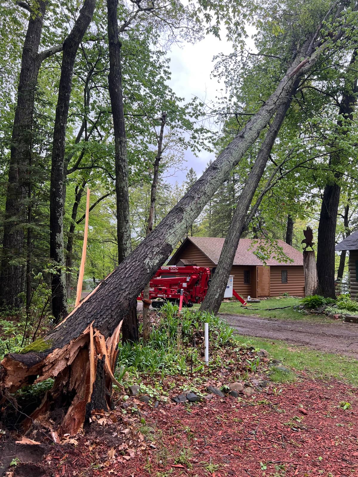 Splintered tree leaning toward a house.