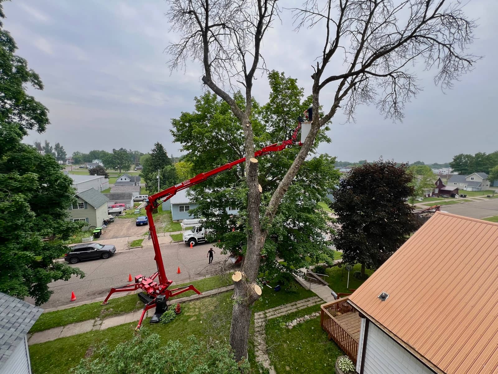 Red lift reaching into a large tree beside a house.
