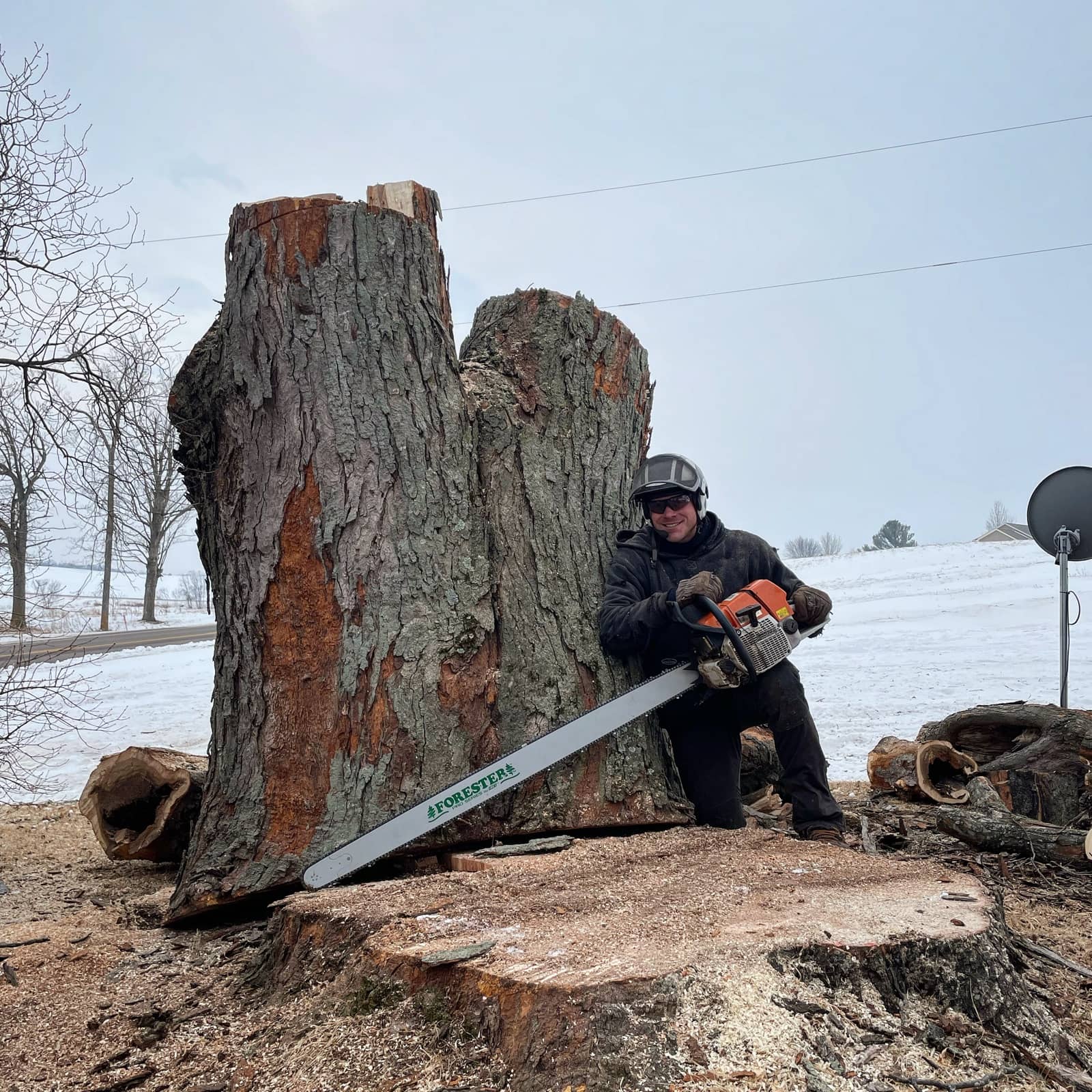 Arborist with a long-bar chainsaw beside a large cut trunk in winter.
