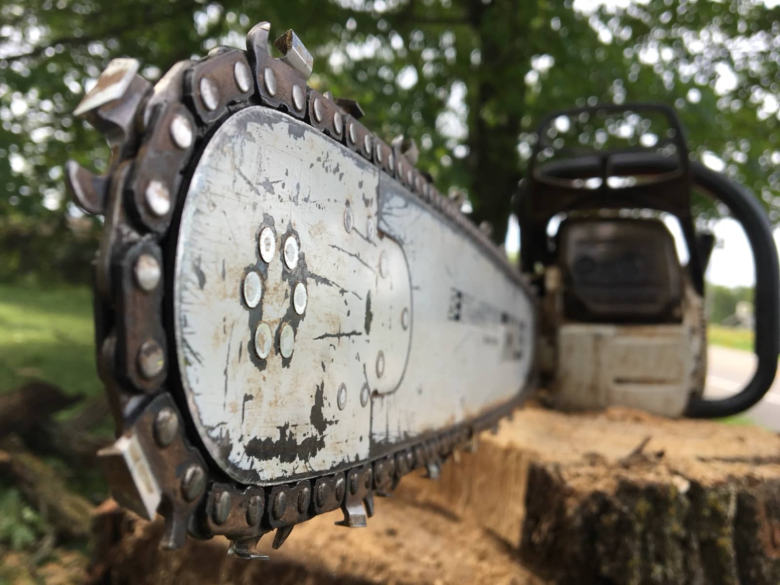 Close view of a chainsaw chain and guide bar resting on a stump.