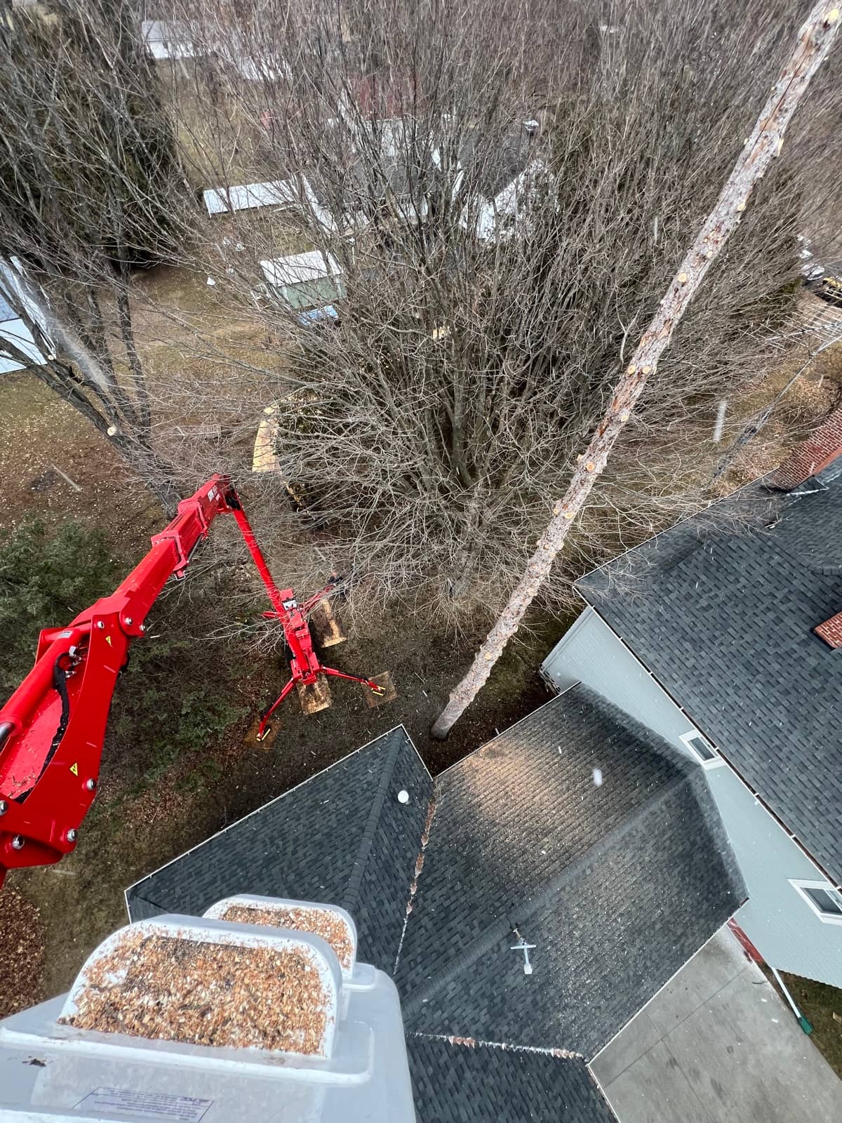 Elevated view of a red lift working on a tree beside a house.