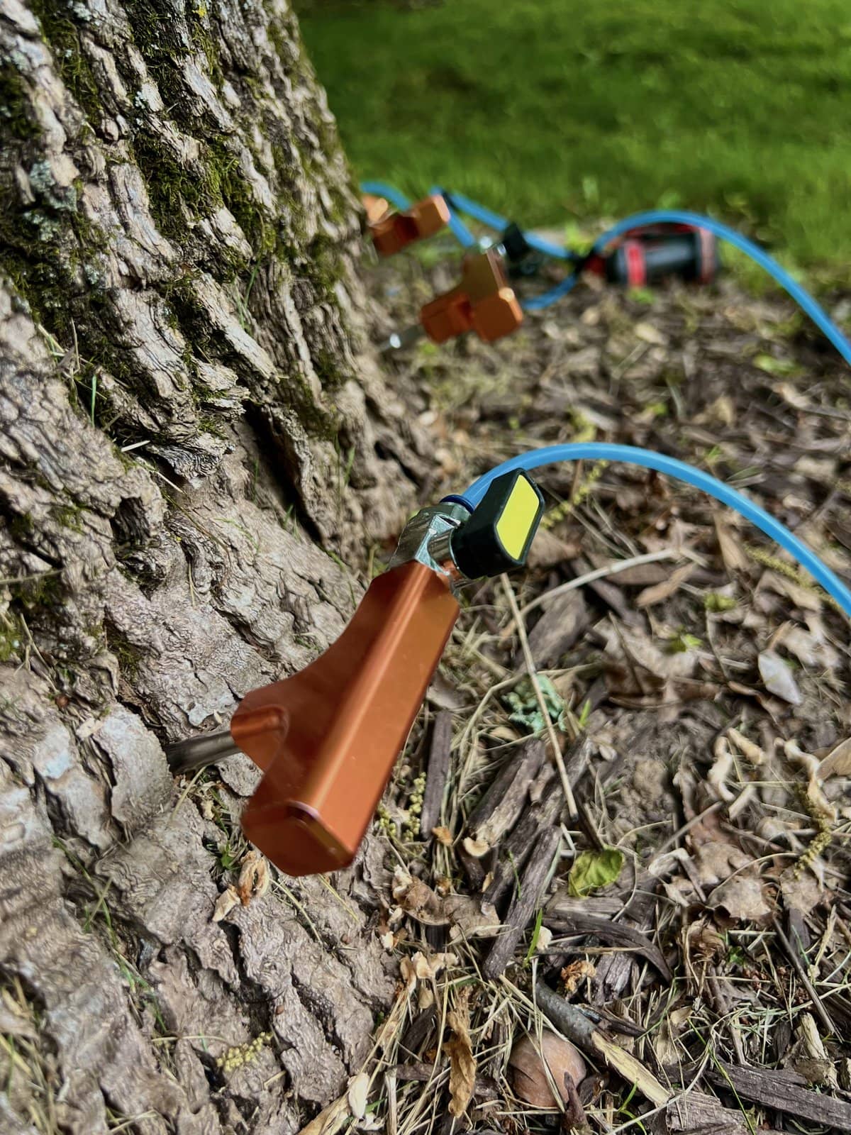 Plant health care treatment being applied directly to a tree trunk