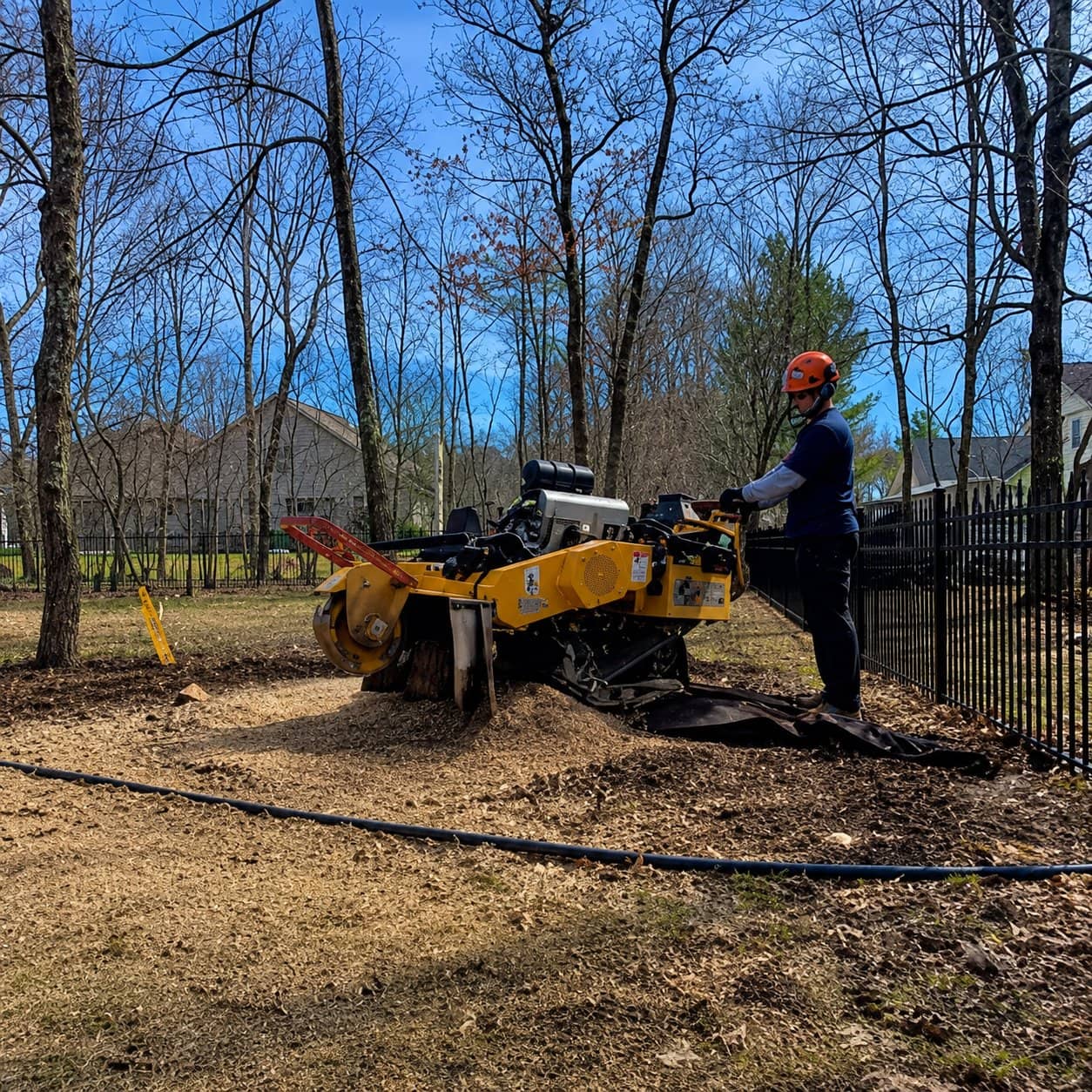 Wellner Arboriculture tree service in Taylor County, WI