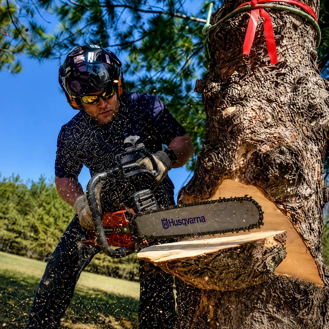 Wellner Arboriculture tree service in Chippewa County, WI