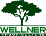 Wellner Arboriculture